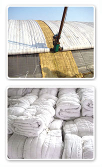 厚料缝纫机样品 